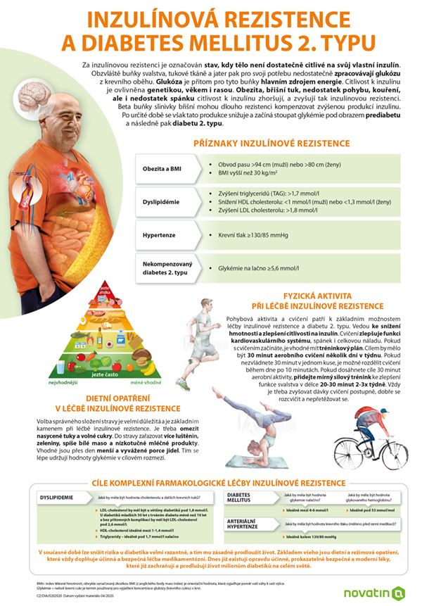 Inzulínová rezistence a diabetes mellitus 2. typu